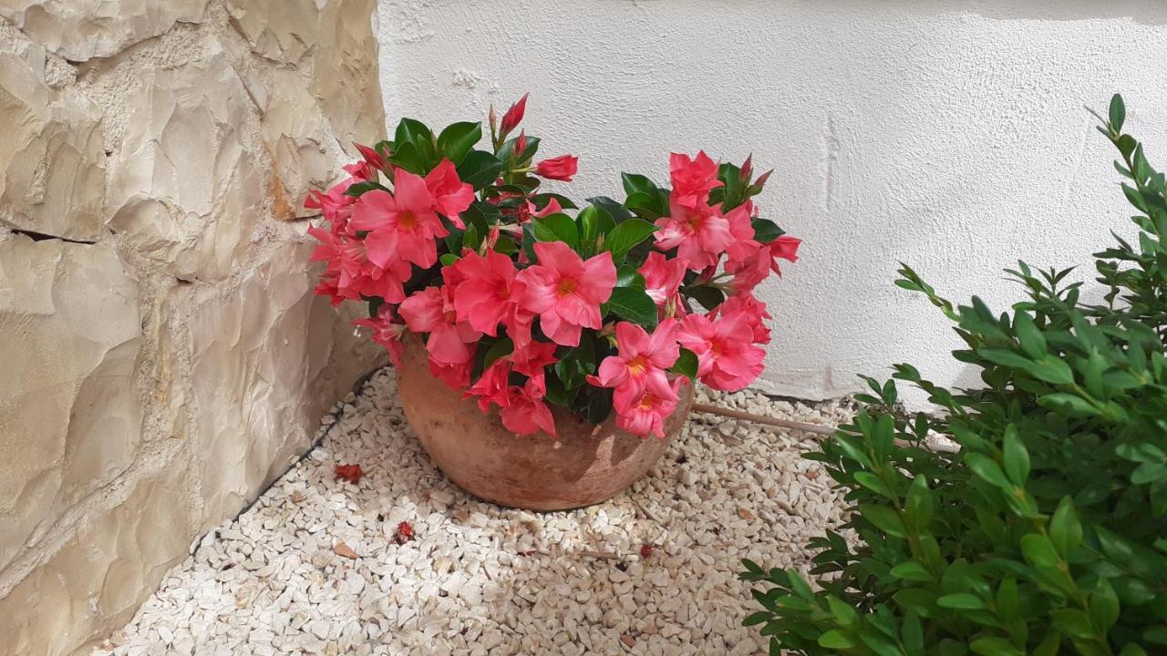 Apartman Nina Βόντιτσε Εξωτερικό φωτογραφία